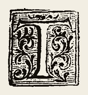 Ornament 0934