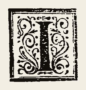 Ornament 0937