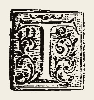 Ornament 0939
