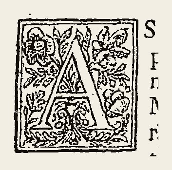 Ornament 0987
