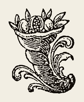 Ornament 0992