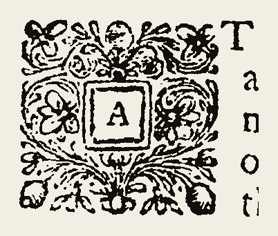 Ornament 1005