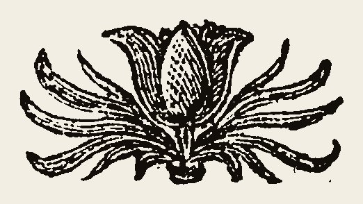 Cut 0137