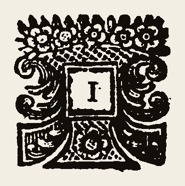 Ornament 1007