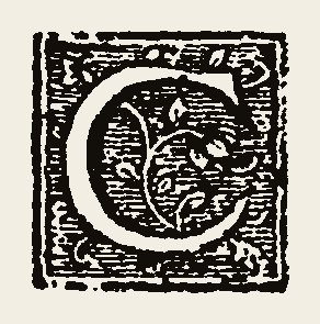 Ornament 1045