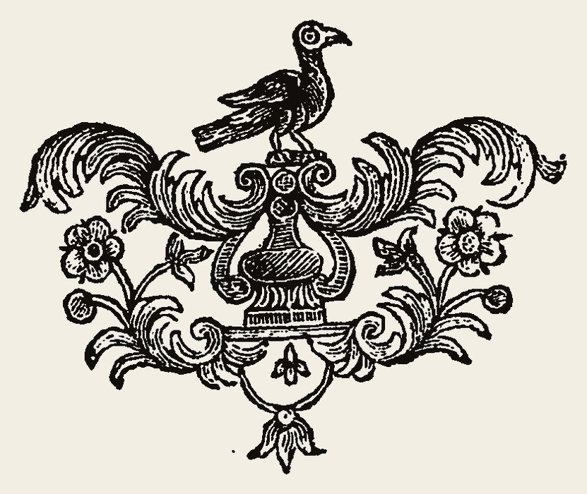 Bird 1181