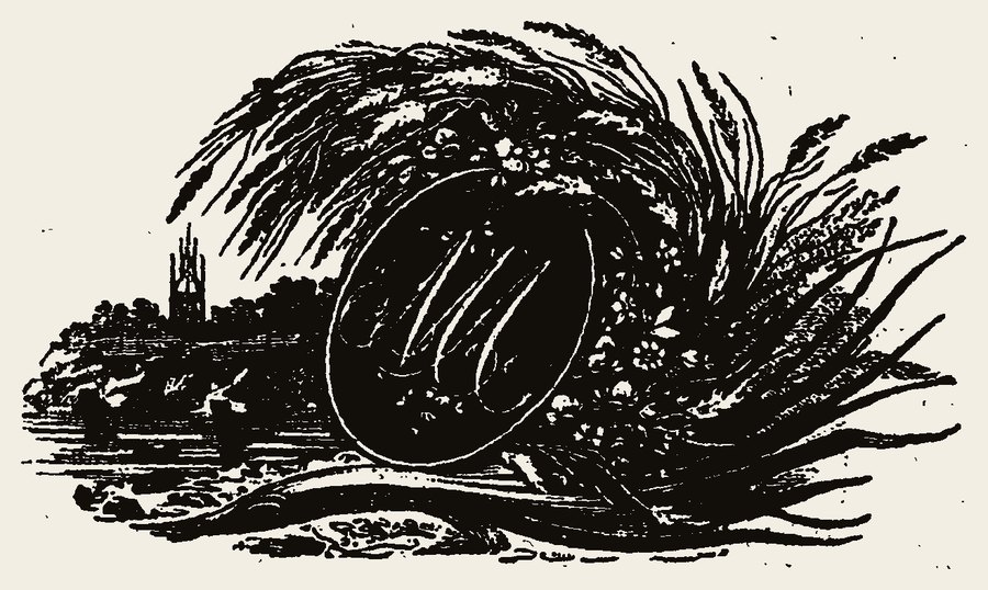 Cut 0200