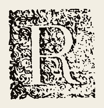 Ornament 1079