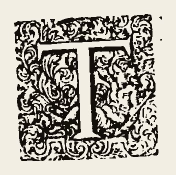 Ornament 1080