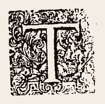 Ornament 1084