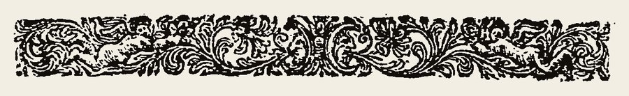Border 2294