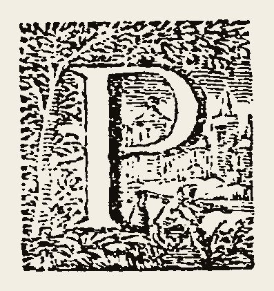 Ornament 1136