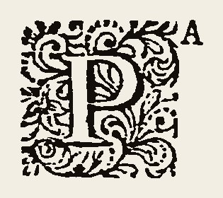 Ornament 1146