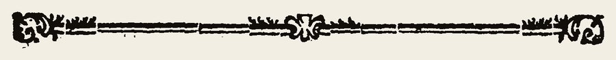 Border 2337