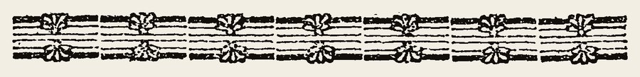 Border 2358