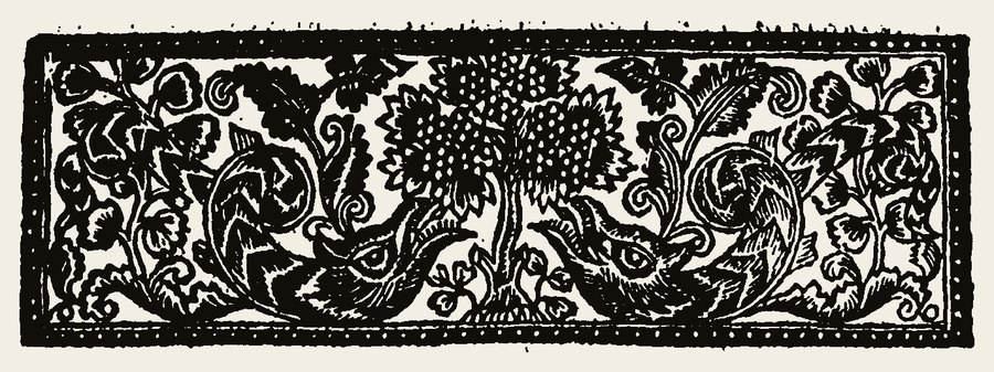 Border 2371